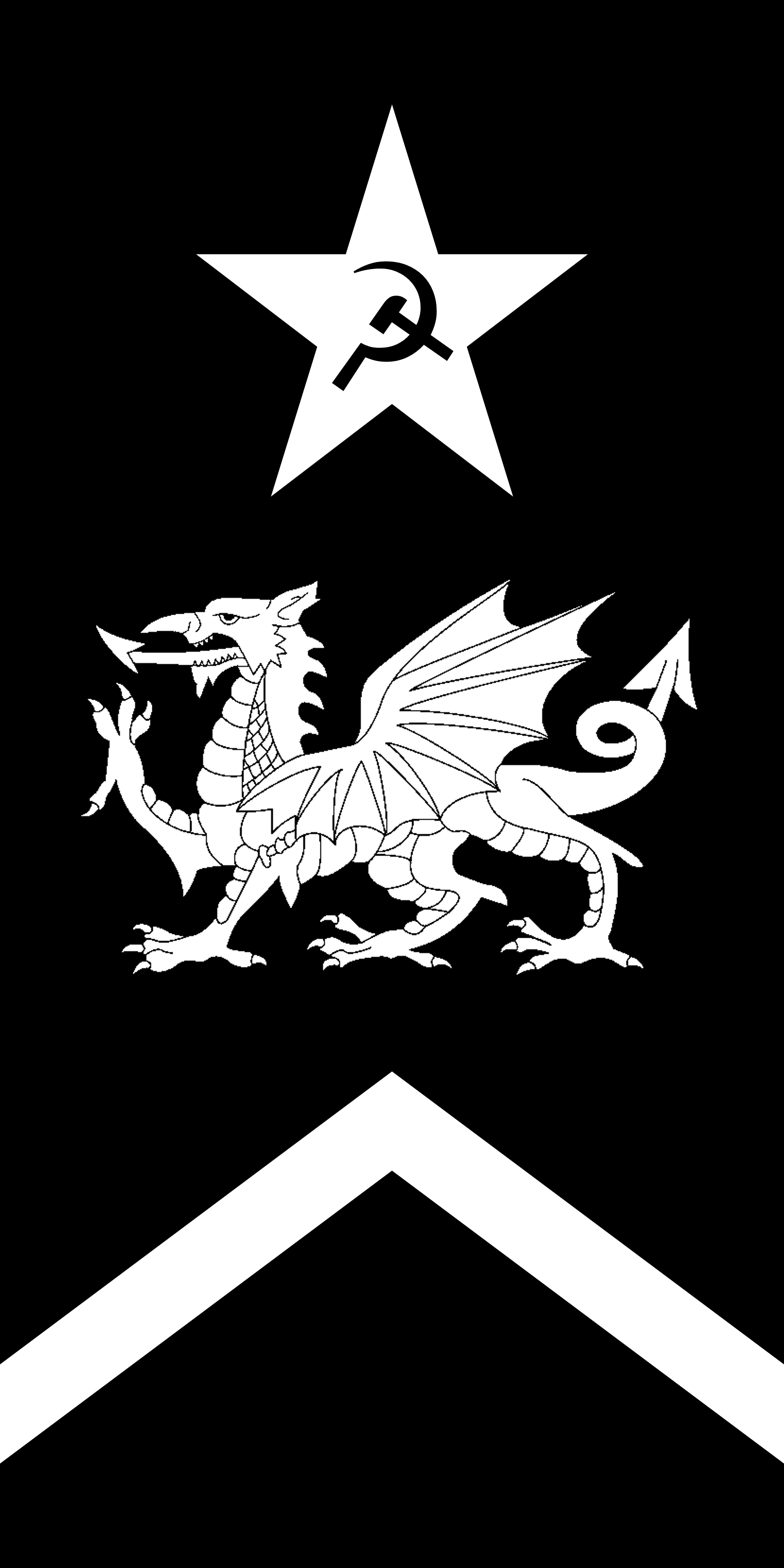 A black flag taller than it is wide showing: a black hammer and sickle within a white star at the top of the flag; a white dragon in the middle of the flag; and a white chevron pointing up near the base of the flag